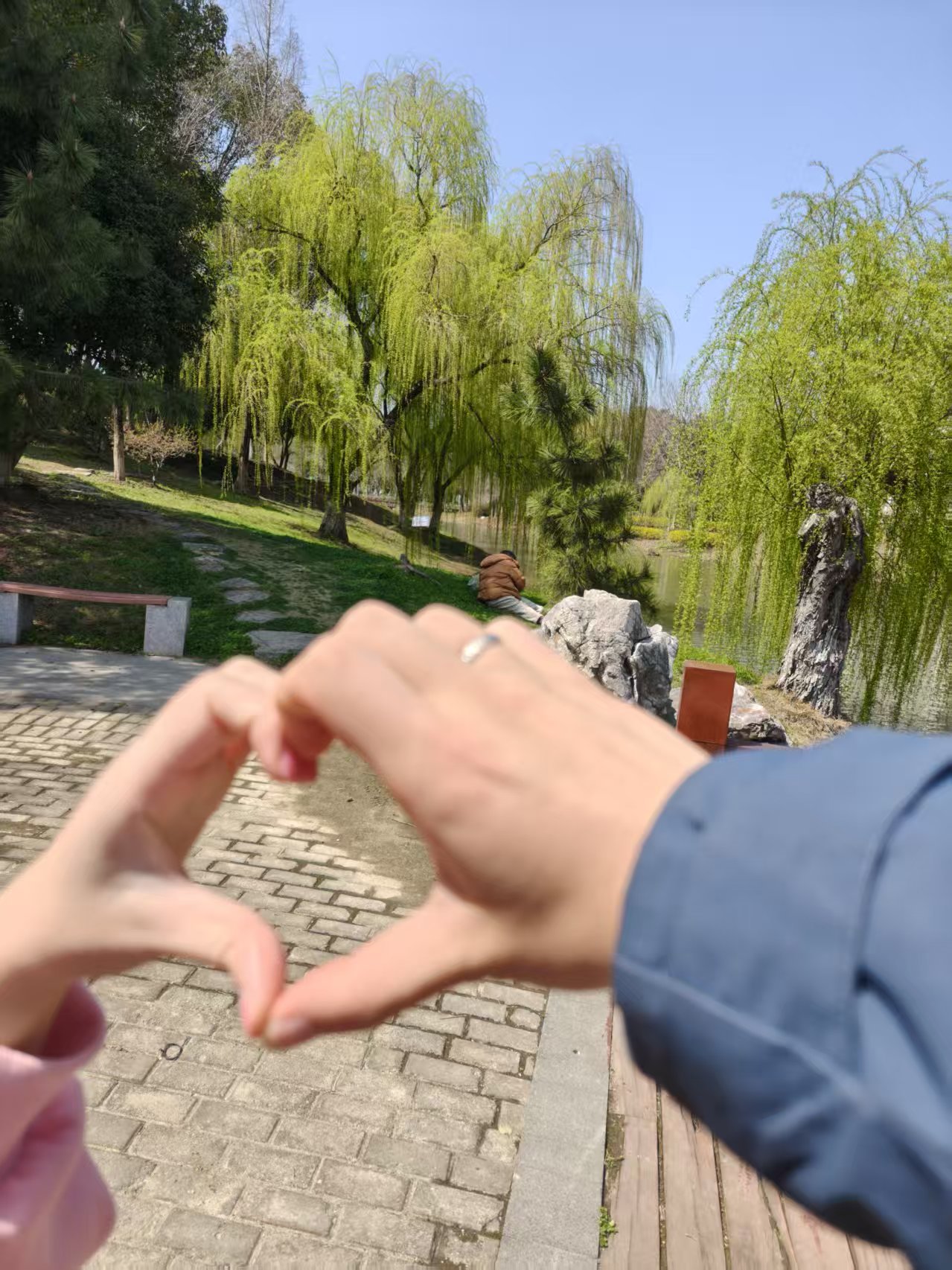 第 15 张回忆